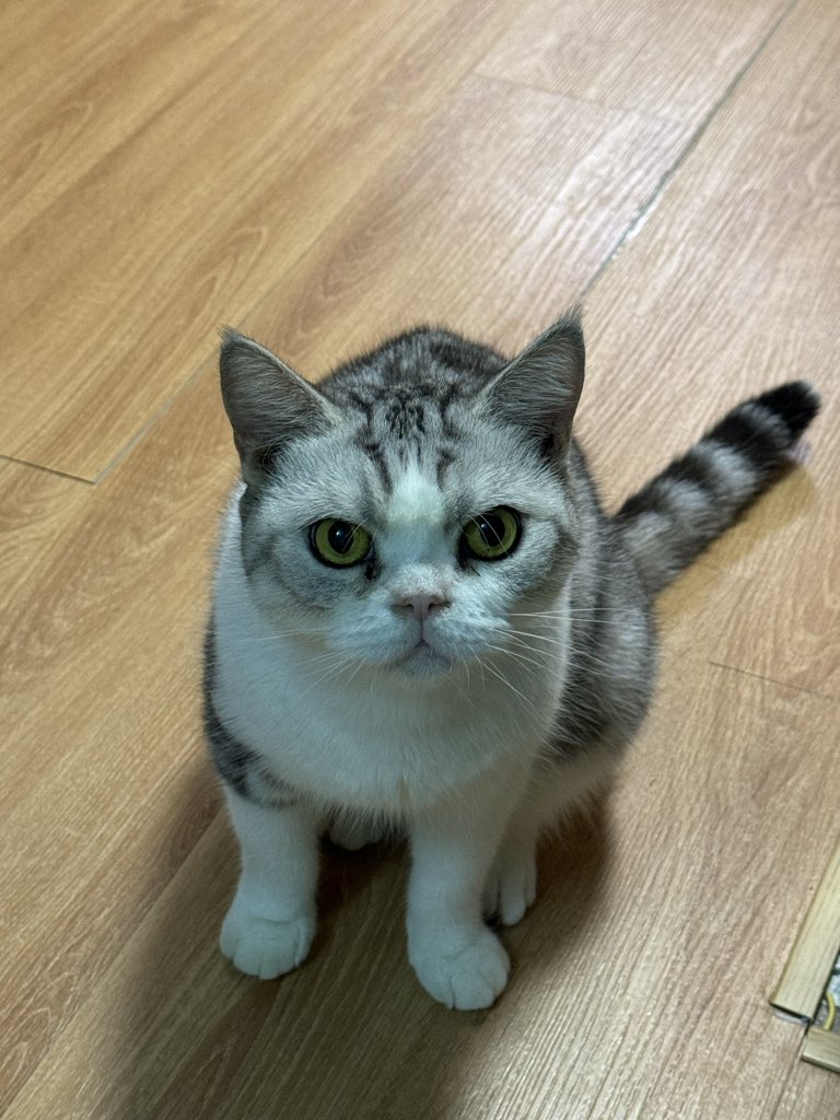 Chi_ciz's tweet photo. @Momoon797 我说怎么眼睛有点似曾相识 https://t.co/MW9WCrq9rp