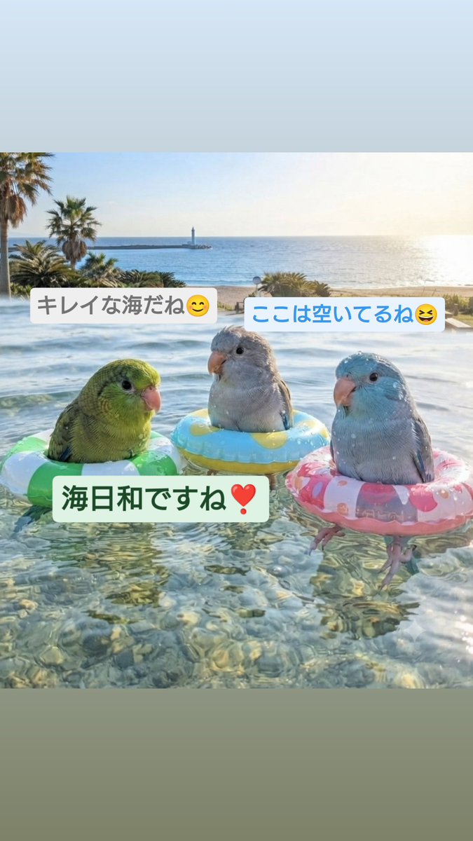 jun08120601's tweet photo. #インコ語妄想 https://t.co/yNWXsRx3WE