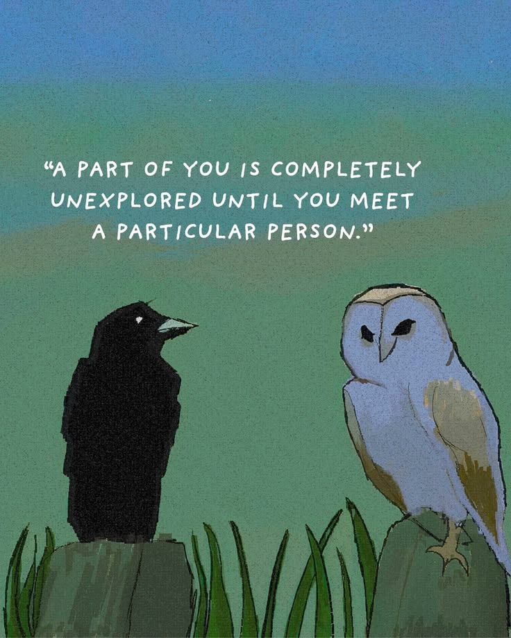 Nightbloomc's tweet photo. "A part of you is completely unexplored until you meet a particular person." https://t.co/CQ32vUa9px