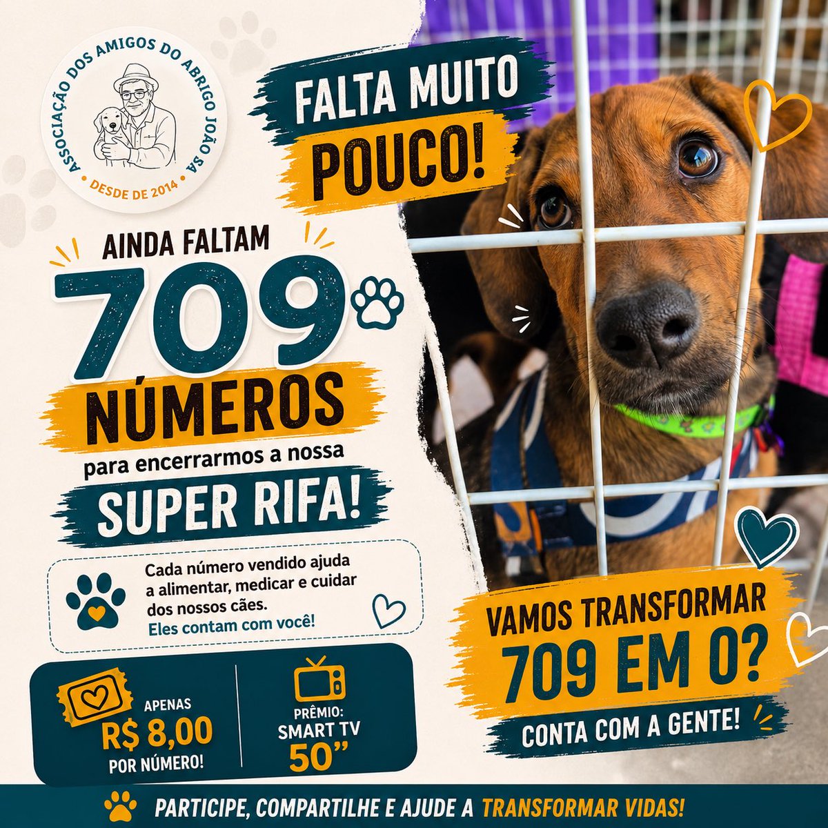 abrigojoaorosa's tweet photo. 👀 Essa carinha está dizendo tudo…

Ainda faltam 709 números para encerrarmos a nossa Super Rifa! 💙

Cada número vendido ajuda a alimentar, medicar e cuidar dos nossos cães.

🎟️ R$ 8 por número.

Vamos transformar esses 709 em 0? Contamos com você! 🐾💛 https://t.co/sSi021m0W6