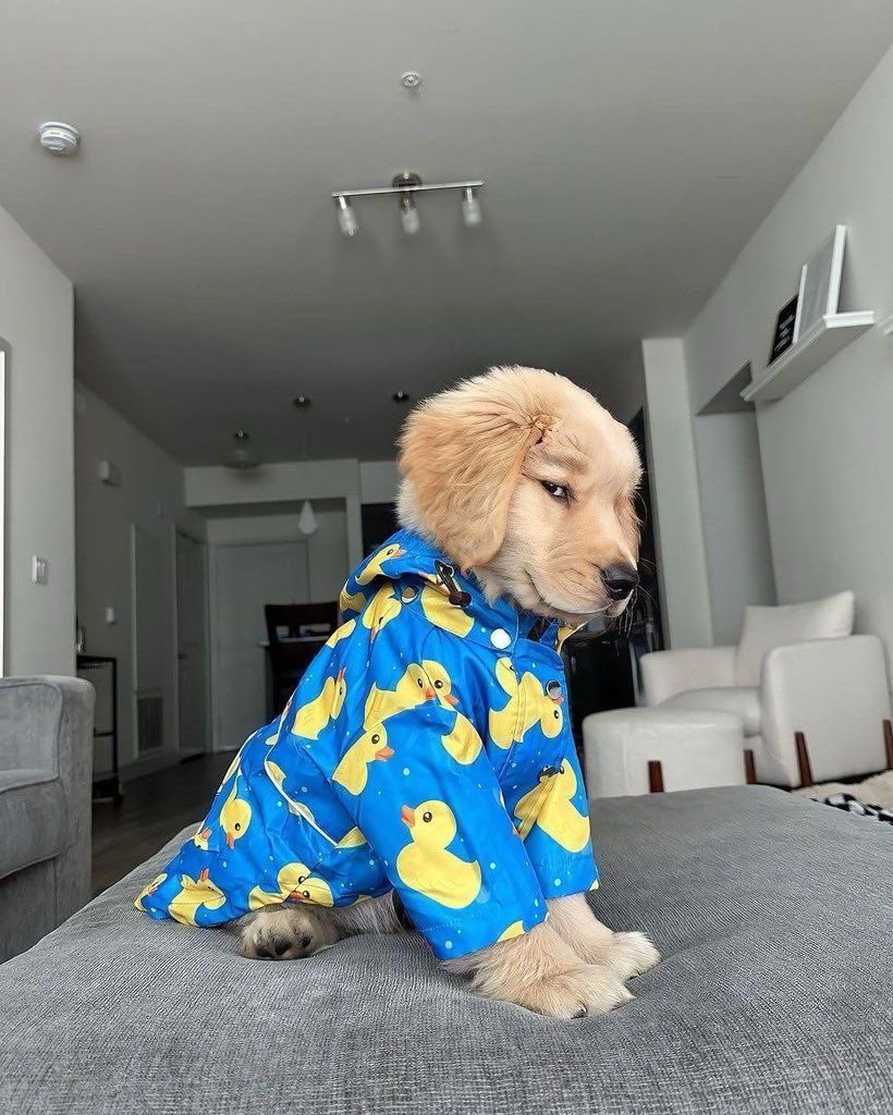twaniimals's tweet photo. https://t.co/sFckngDhvu