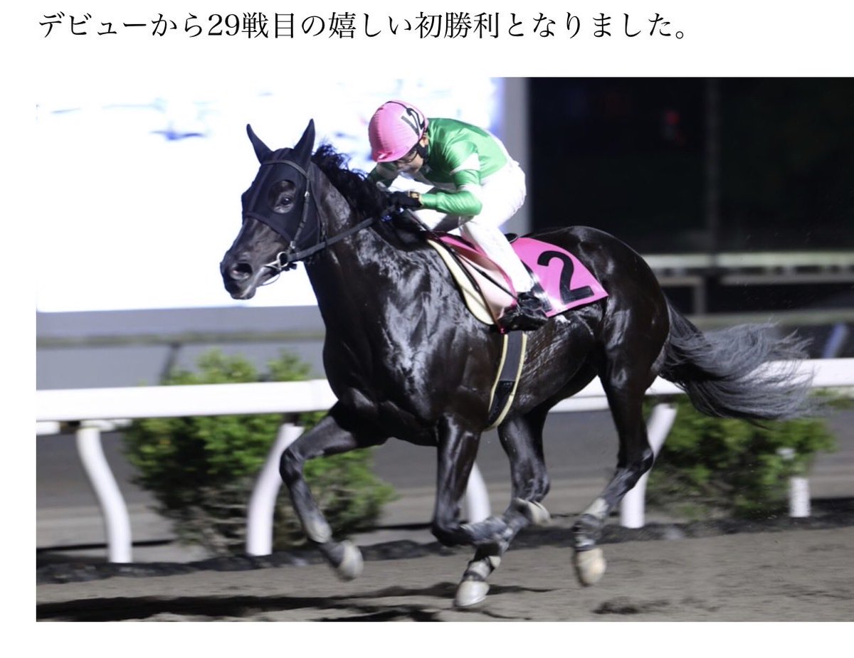 besbeswitch's tweet photo. 報道写真見比べると初勝利→50勝→100勝と時を追うごとにどんどん姿勢が低くなってて面白い
これだけ低いのも中央含めてもあんまおらん気がするけど前見えてるんかな https://t.co/IiKQWkFzvV