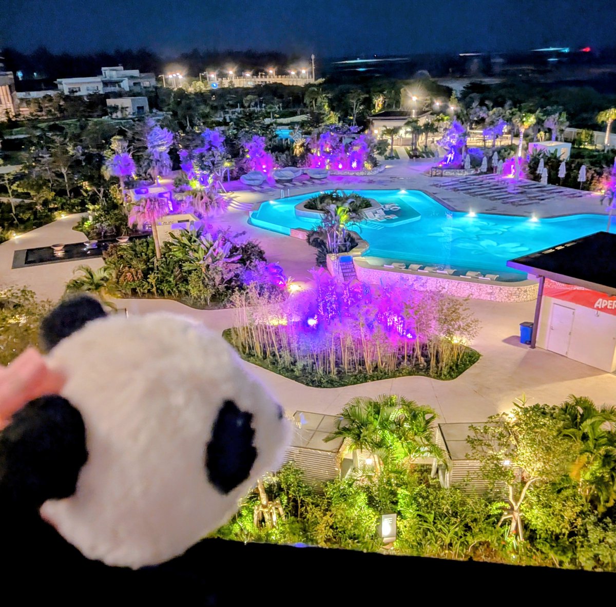 BokuPandaXiang's tweet photo. 海の日なんだって
#ぬい活
#ぬいぐるみ https://t.co/6MIJYgZjRA