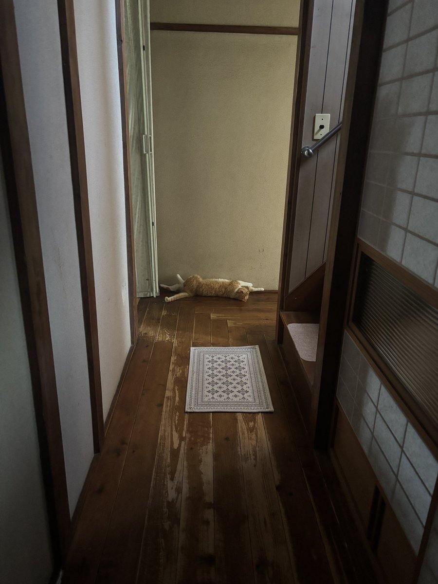 ta024tumi's tweet photo. トイレ出て廊下の先見たらこれで笑ってる https://t.co/U42JnxOd0T