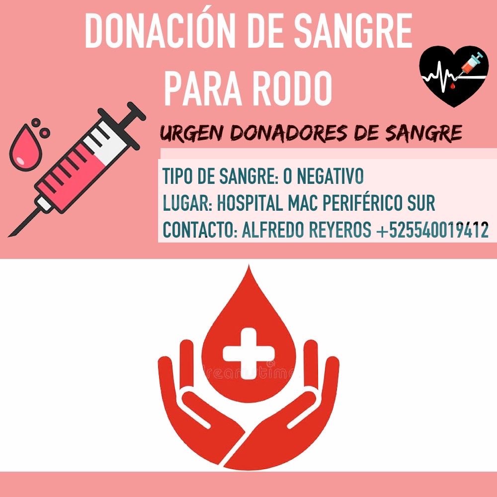 donaenvida's tweet photo. #URGENTE #CDMX #Sangre tipo O- para Rodo, en el Hospital Mac Periférico Sur.
Contactar al: 554 001 9412 con Alfredo Reyeros.

#DonaEnVida https://t.co/2yuM1UciHo