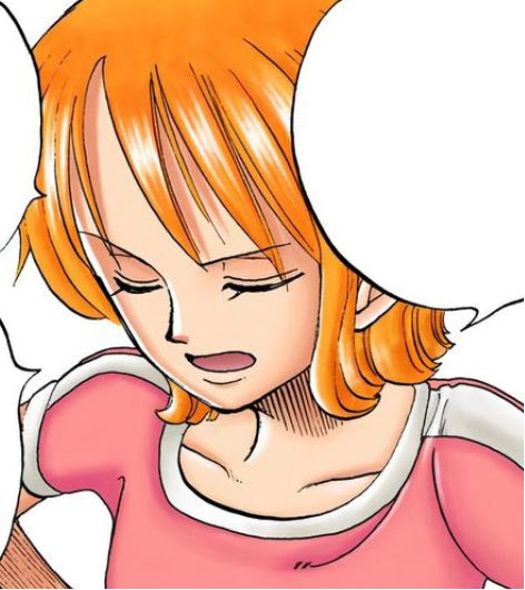 Nami Panels tweet media