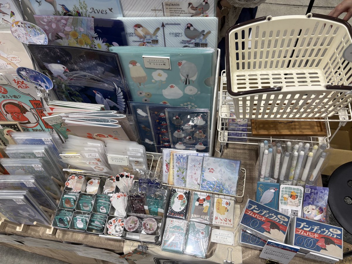 hayakawa0230 tweet picture