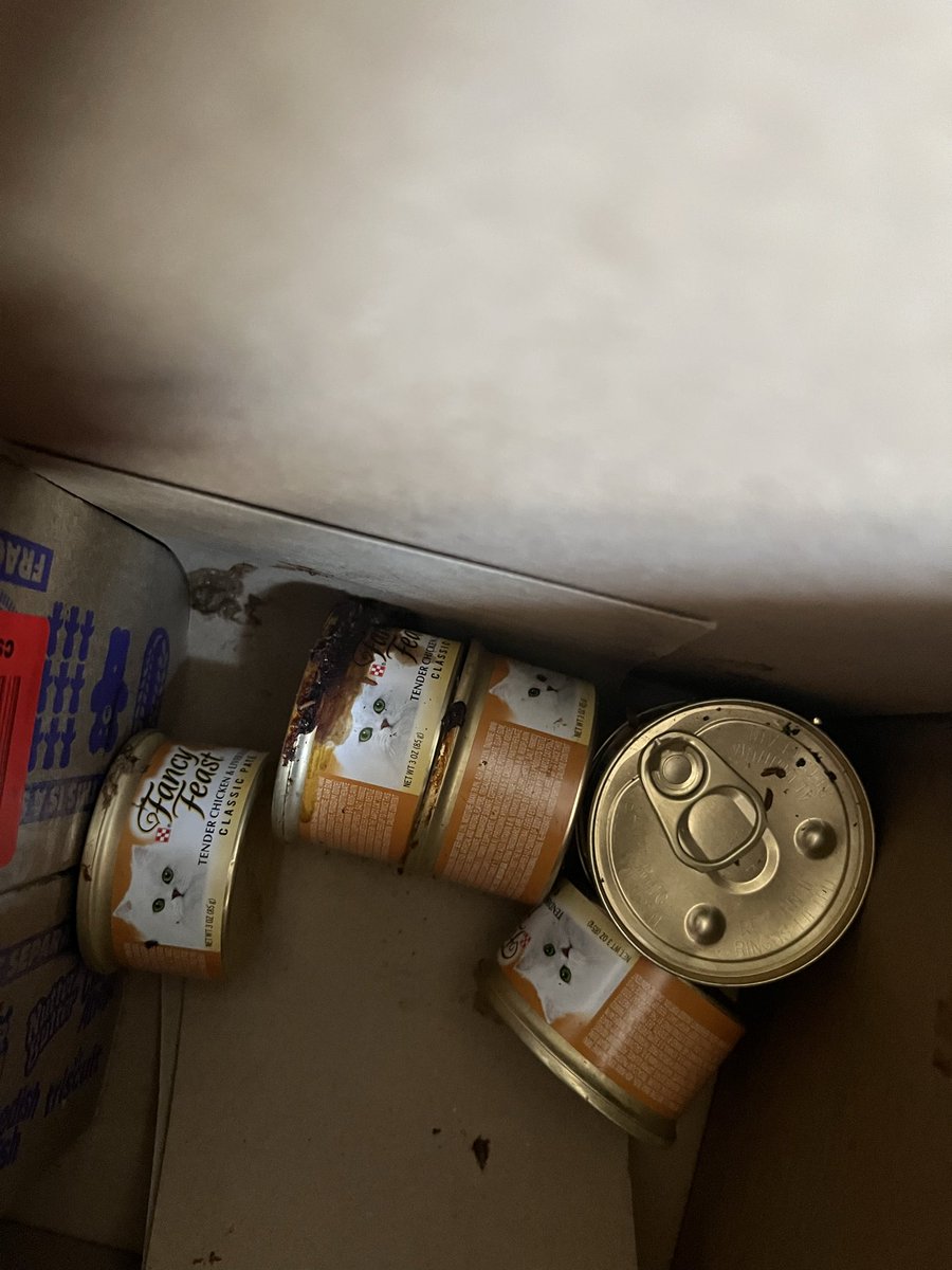 ClassicCarina's tweet photo. @amazon apparently you have some very disgusting disgruntled employees, this was the box I received with FECAL matter inside. Never in my life this is uncalled for. I should return it to the driver who delivered to be handed to the person who packed it. @JeffBezos https://t.co/NfKrIoyUYV