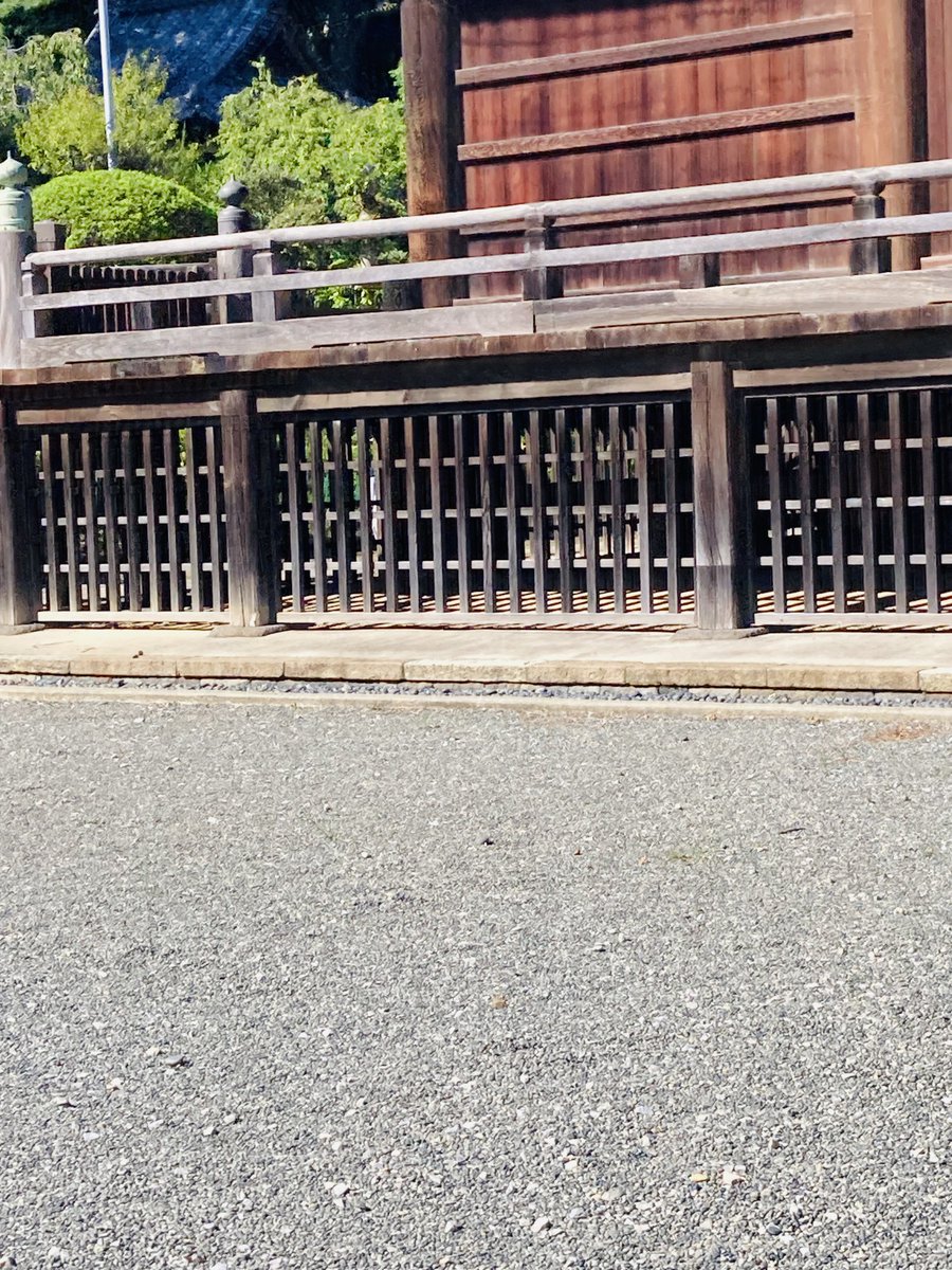 PZPZABC's tweet photo. これはオニヤンマを撮ろうとして望遠鏡をのぞきこんだ https://t.co/HfFwbKVLsF