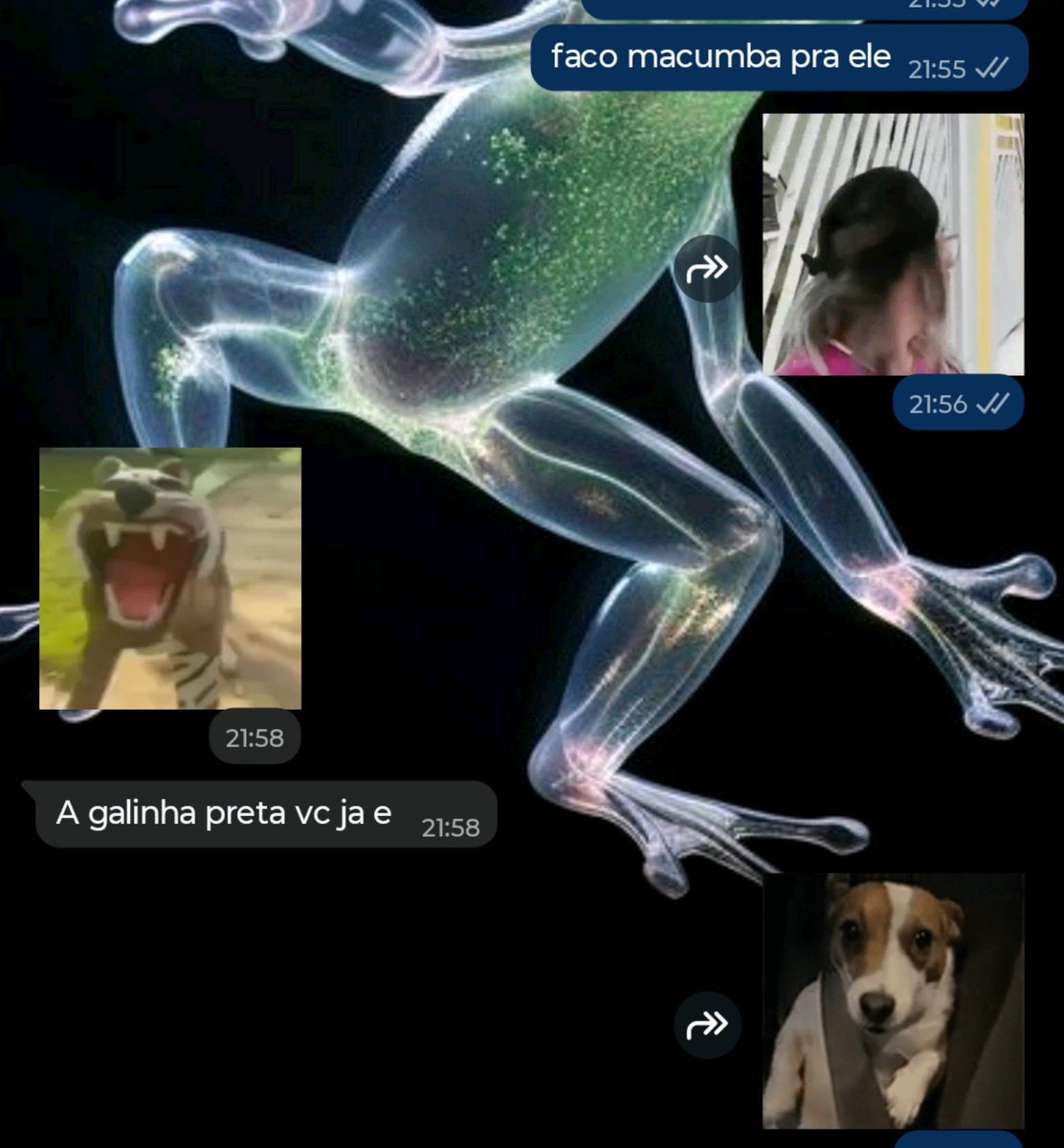 babsbabao's tweet photo. ele fala de mim mas olha oq fala https://t.co/FM3EduNIWN