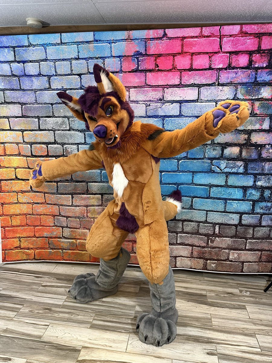 MadeFurYou's tweet photo. More of Vinny! Check out this yote! https://t.co/UoCcDmAhDu