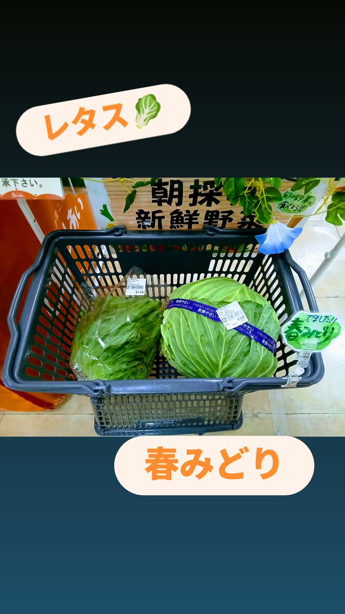 plazaAIkankou's tweet photo. #andあい #プラザあい２階 #道の駅石神の丘　#今日の新鮮野菜 https://t.co/LXD6Xa9PuE