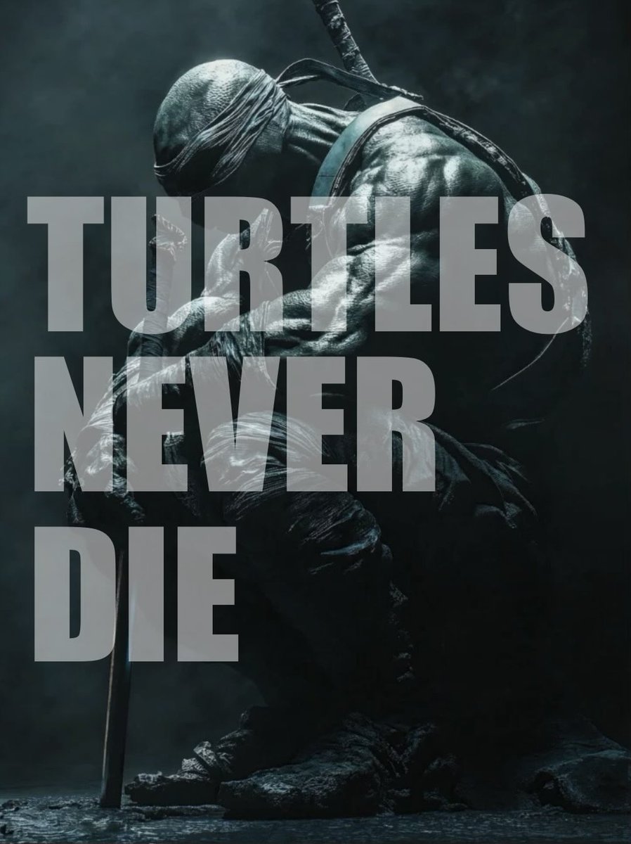 My Ninja Turtles Channel tweet media