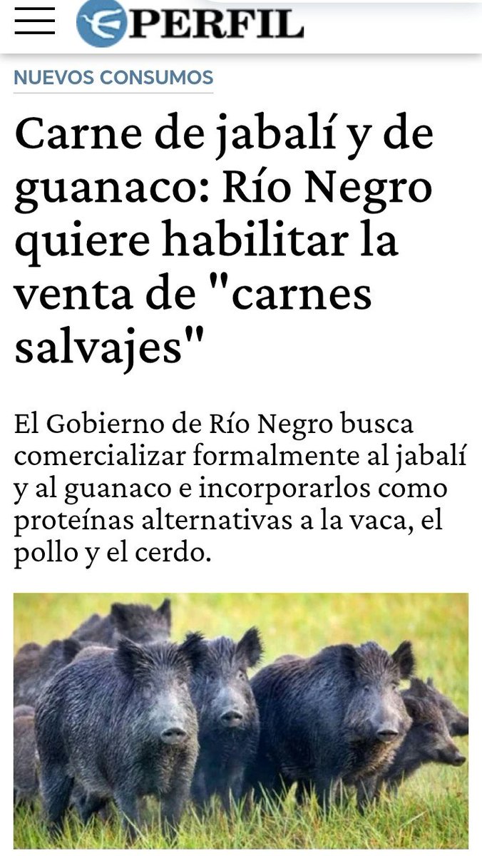 Héctor Castañeda tweet media