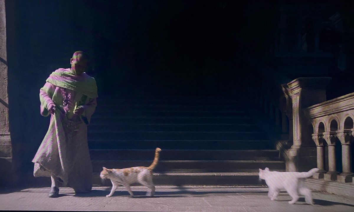 thanergy's tweet photo. THERE ARE CATS IN THE RED KEEP THIS IS THE HAPPIEST DAY OF MY LIFE https://t.co/6czym8JMQS