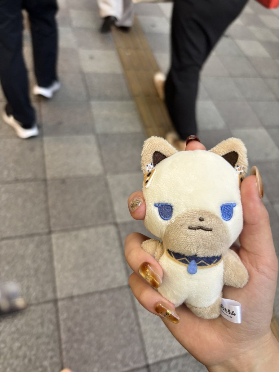 kichi__hm's tweet photo. いぶたうんと初めてのおでけけ https://t.co/oSGFUkDdUu