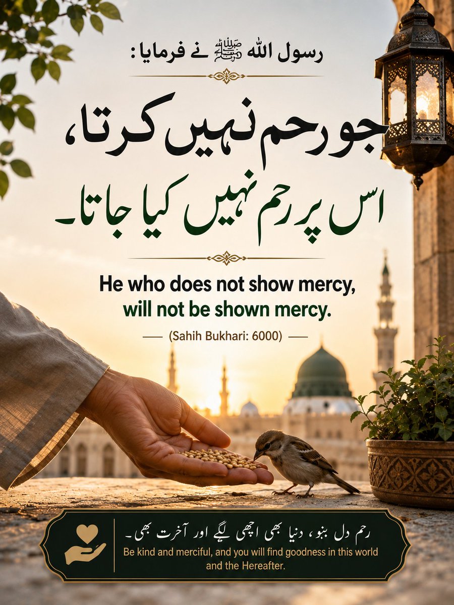 SaeedKania's tweet photo. https://t.co/qPl589rtyn