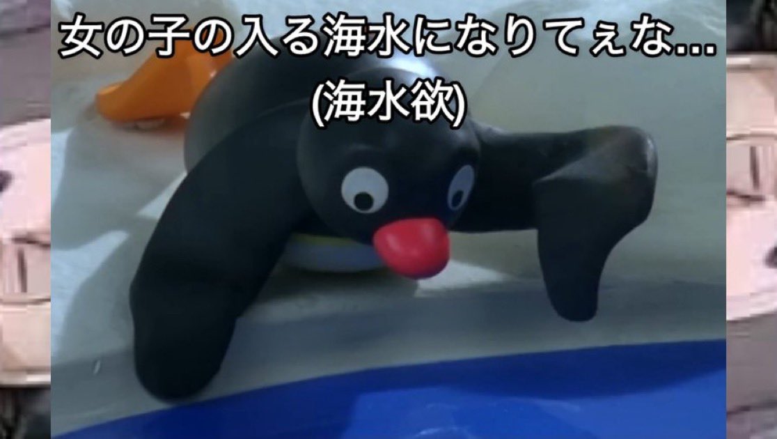 pingu_Archive's tweet photo. https://t.co/uqnfdEgEma