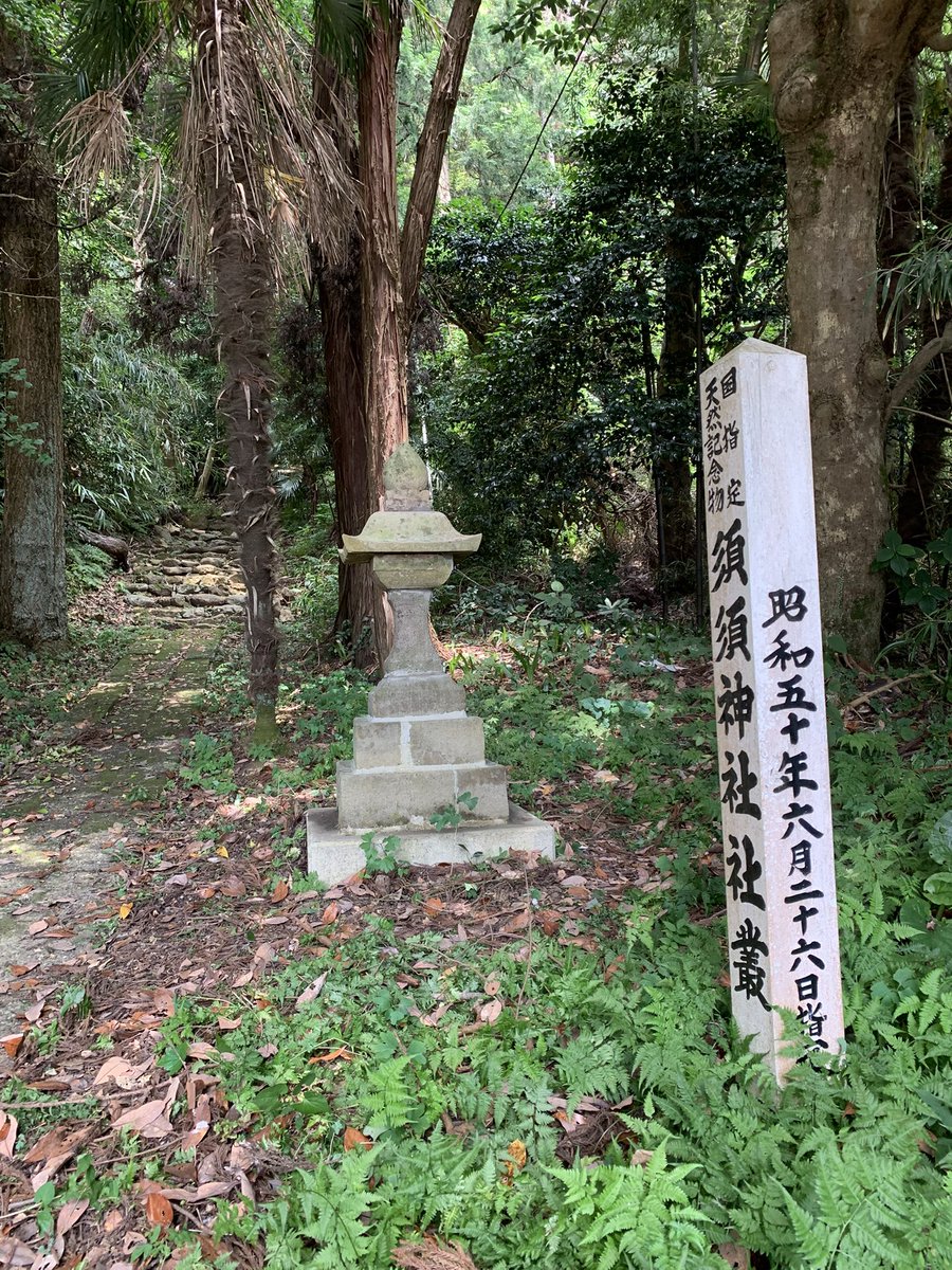 kimikimieeeeees's tweet photo. 倒れてしまった灯籠を一段ずつ起こして
間にセメント塗り塗り

石のプロ✨田中会長に監督してもらいながら綺麗に仕上がりました☻ https://t.co/xDonhTB22M