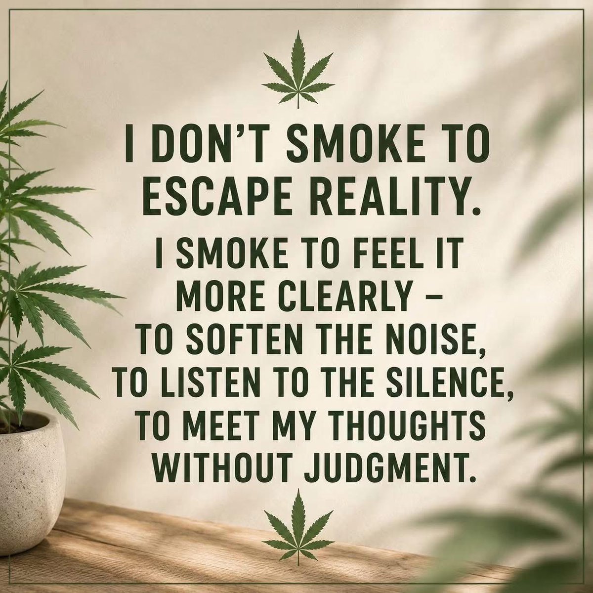 weedcoinOG's tweet photo. https://t.co/dwzzN8ZJcf