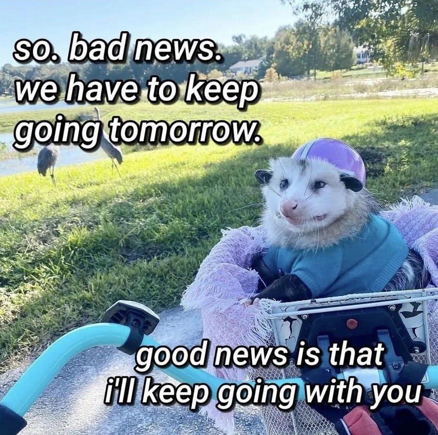 Snaggletooth Screamer tweet media