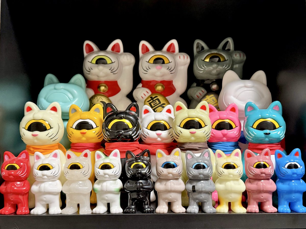 🫘あずきミルク🥛フォーチュンキッドミニ🙏 フォーチュンキャッツ