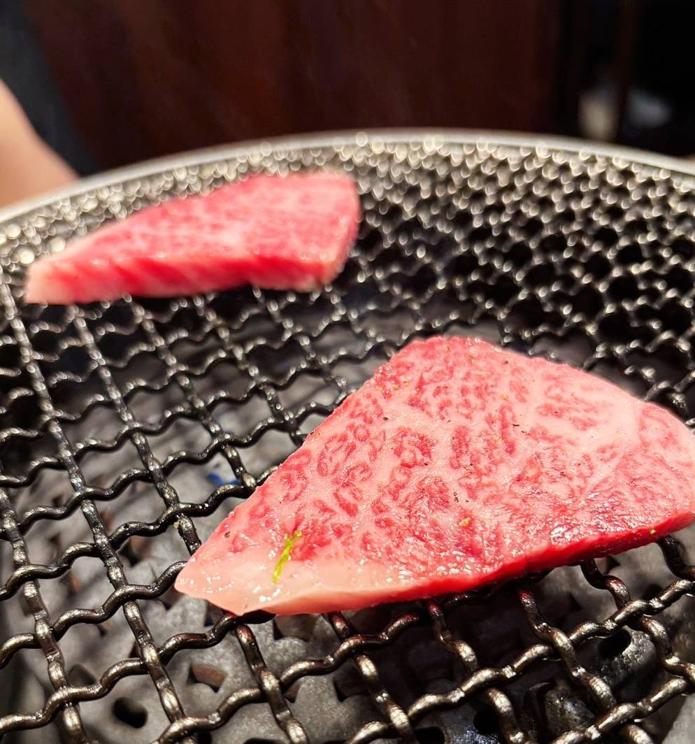 harukoDQX's tweet photo. お肉食べてきたああ！
焼肉さいこー٩(ˊᗜˋ*)و
#仔虎 https://t.co/farjQugl3W