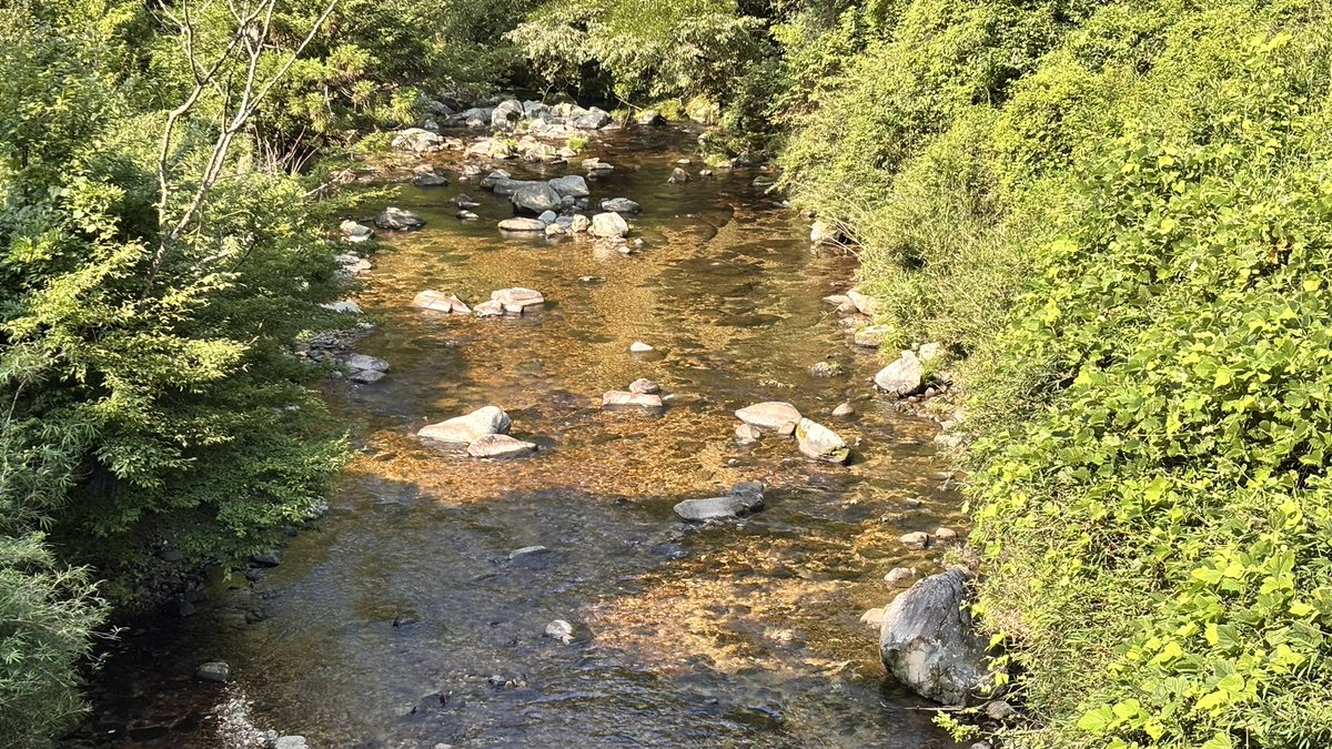 Nickey_Rider's tweet photo. 七宗町へ綺麗な小川を見に朝活してきました。
クマ用？なのかは分かりませんが、大きな鉄格子の罠が仕掛けてあり、危険⚠️のマークが、、、
熊が出てもおかしくないくらい山でした😊

それにしても9時を過ぎると暑すぎますね💦 https://t.co/GnTXCc6R5k