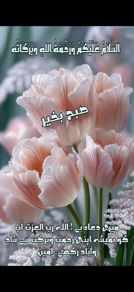 Noor Islam tweet media