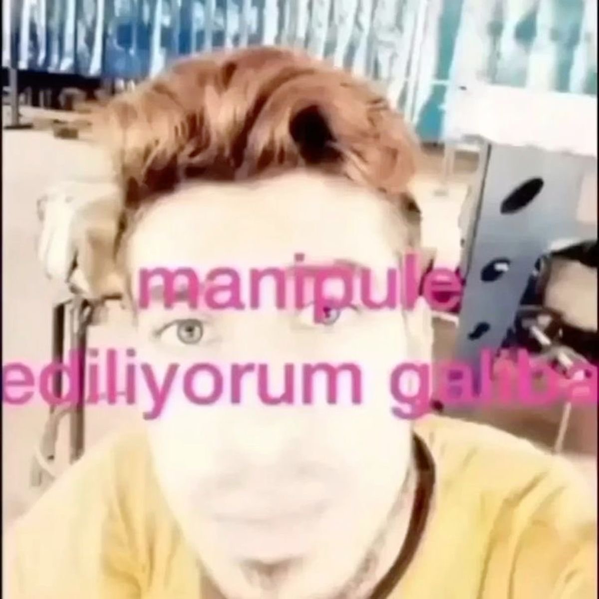 withregulars's tweet photo. aitlik ekine geçilmiş https://t.co/mrt16yLNcn