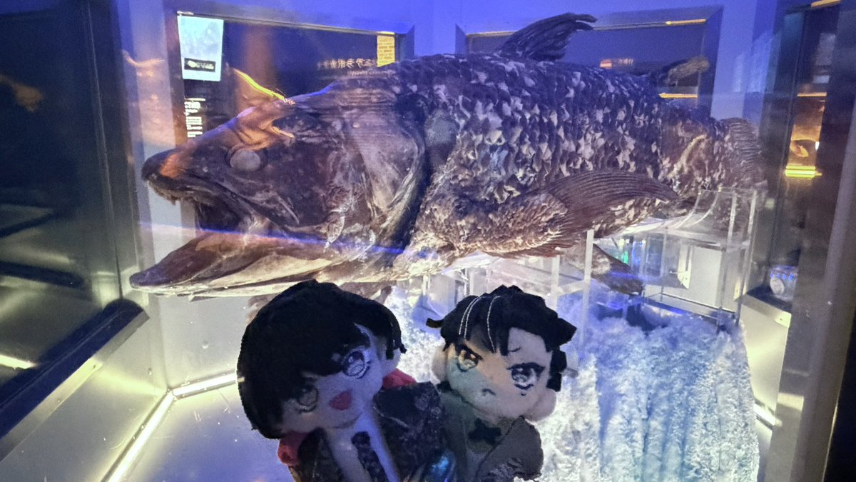 Gc372's tweet photo. まぬとぬ、水族館だよ🐟
シーラカンスでっかいねぇ https://t.co/W0rqA6xyrU
