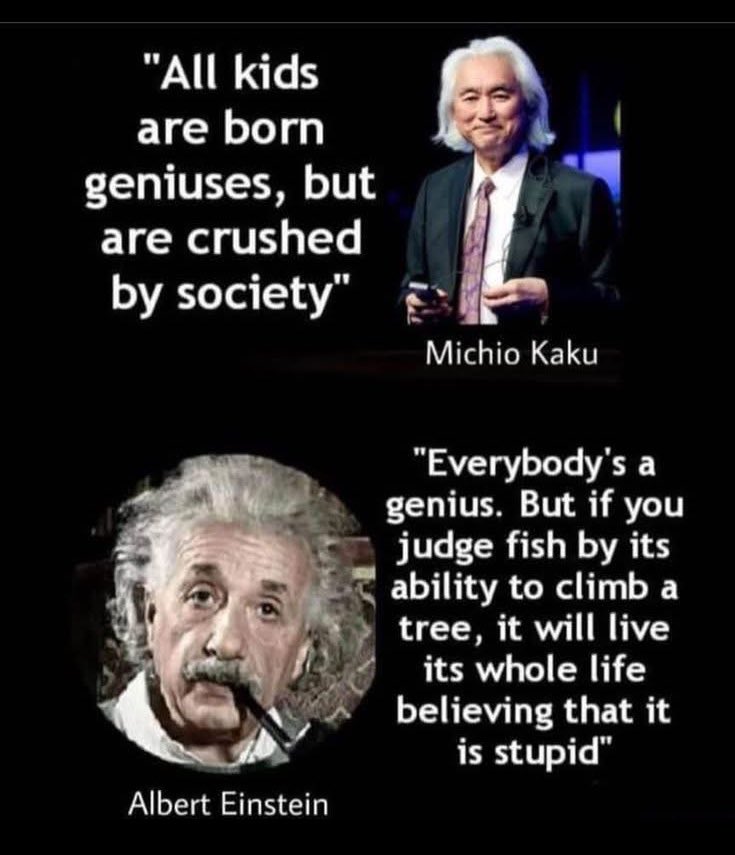 Shining Science tweet media