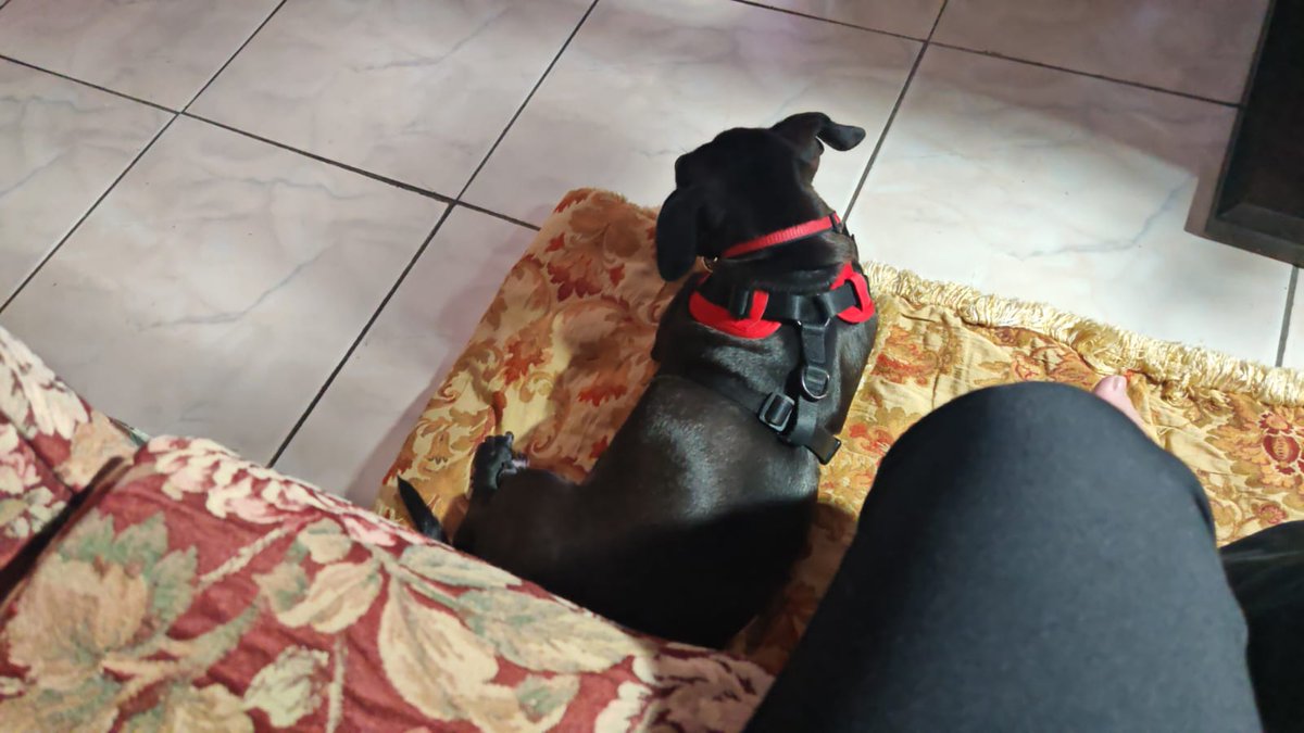 luciangc's tweet photo. i love you, Marieta, mi cosita de mi corazón, mi bebé https://t.co/6SHhbo8Ao3