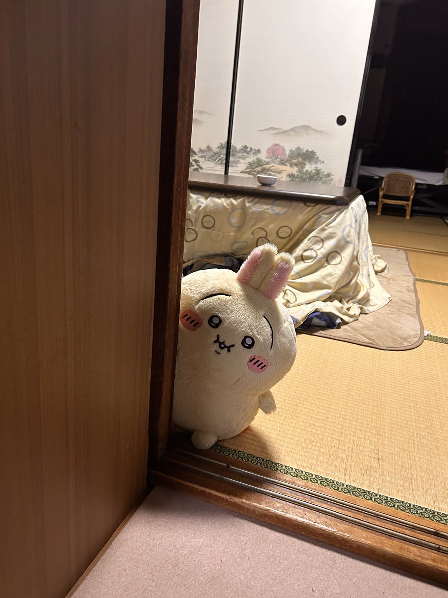 anko08610355's tweet photo. なんかでぶちん写真いいね結構貰えるようになってる？！
ひょっこりでぶちんと家政婦はみたでぶちん置いときます(多分再掲) https://t.co/TjH6eu1lKR