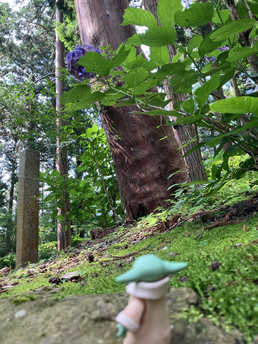 captaka3's tweet photo. グローグーとおでけけ https://t.co/4hmAxl46Ug