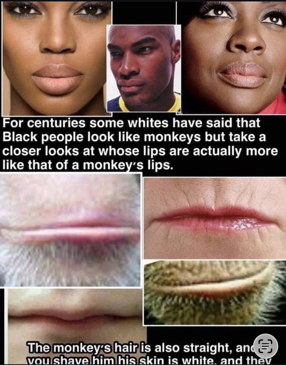 Dreski81's tweet photo. @Johno85t @eepdllc @BufordChap53514 @dijoni You white mutants would exist if it wasn’t for blacks and lab 🥼 🧪 🧫  👶🏻🐵 like you. Do you know this is a black world dumbass 90 percent have black ancestry the other Nordic 👽 like yourself are soulless beings pure worker lost living with stolen identity just a Tarzan 🐵 https://t.co/UziEcv5d2F