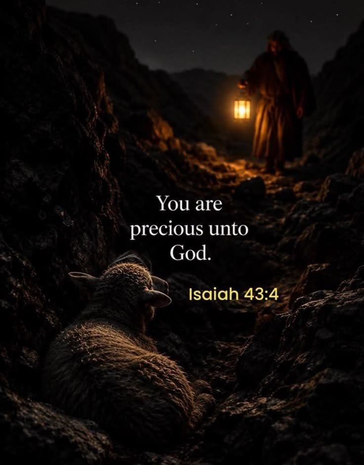John_Matthew_T's tweet photo. Isaiah 43:4 https://t.co/oOvNujYDyE