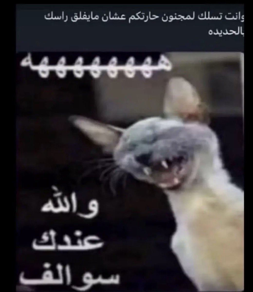 wa0_eg's tweet photo. #Hotd #HouseOftheDragon 
ديرون مع ارموند https://t.co/Yw9soUJimY