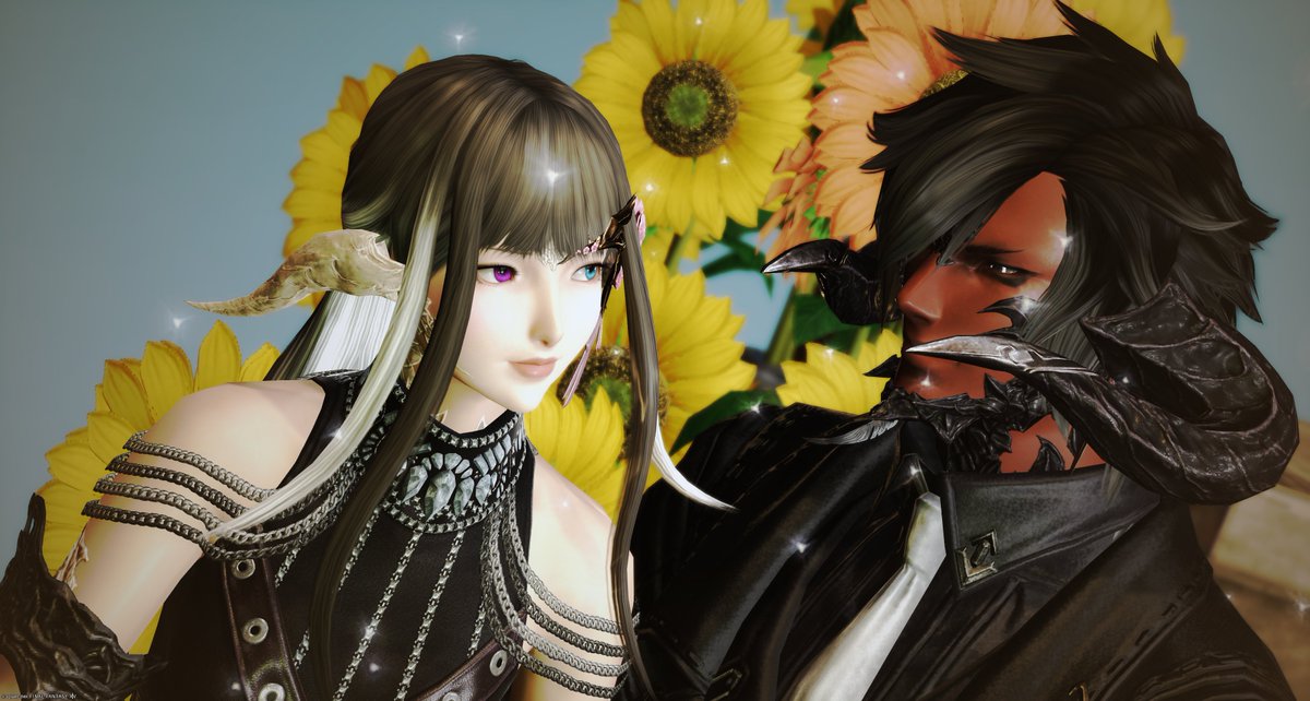 Koyuki_ff14's tweet photo. #しゃとすたじお さんの「Summer vibes」へお邪魔しました。
膝抱っこいいよ、膝抱っこｗ
バイブス上げてこ！ https://t.co/Pqs5IUwB8C