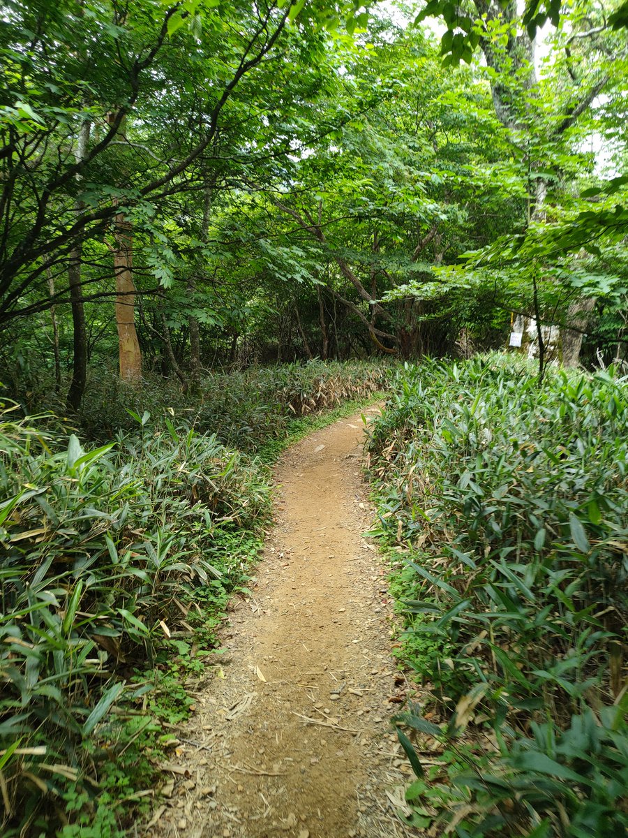 Sawada_515's tweet photo. 運動不足できつい https://t.co/jGTfkKVdE2