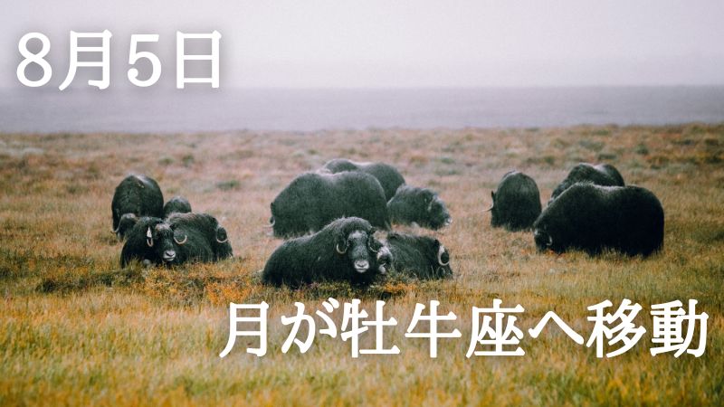 solaritaservice's tweet photo. 本日、月が牡牛座へ移動

日常にリズムが戻り始めます

「速さ」より「確かさ」が、

運を引き寄せる二日間！

↓星と暦からあなたの本日の運勢を占い、120段階のランキングでお伝えします！
https://t.co/t3GWBjj5jW https://t.co/gvlBenNOQI