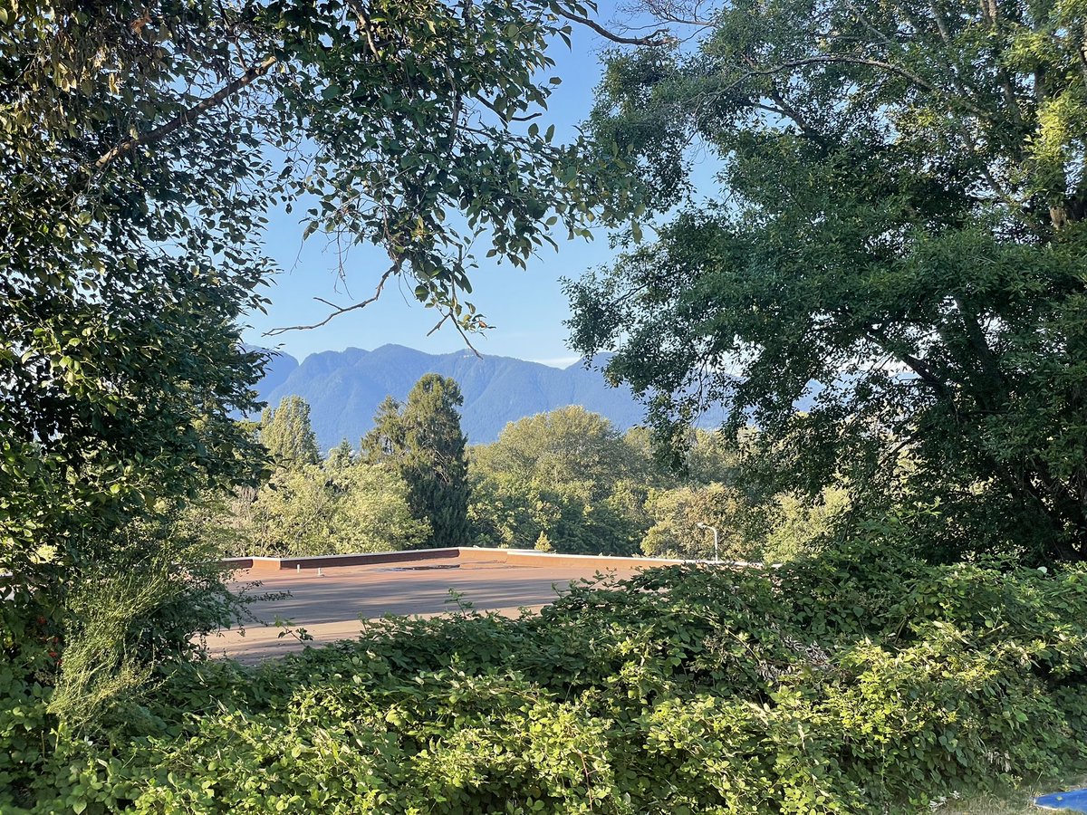 heaIingspo's tweet photo. trees framing the view https://t.co/jSj7vNdcRo