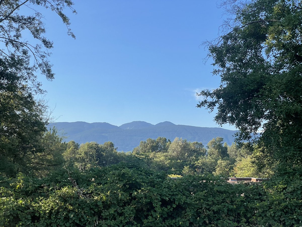heaIingspo's tweet photo. trees framing the view https://t.co/jSj7vNdcRo