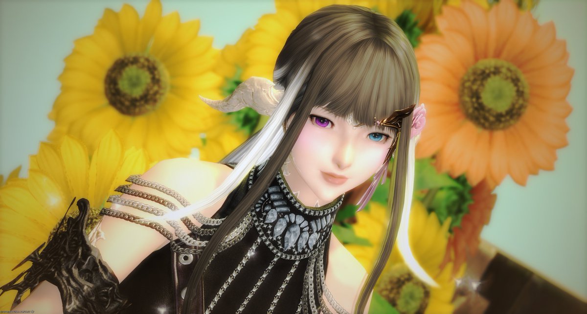 Koyuki_ff14's tweet photo. #しゃとすたじお さんの「Summer vibes」へお邪魔しました。
膝抱っこいいよ、膝抱っこｗ
バイブス上げてこ！ https://t.co/Pqs5IUwB8C