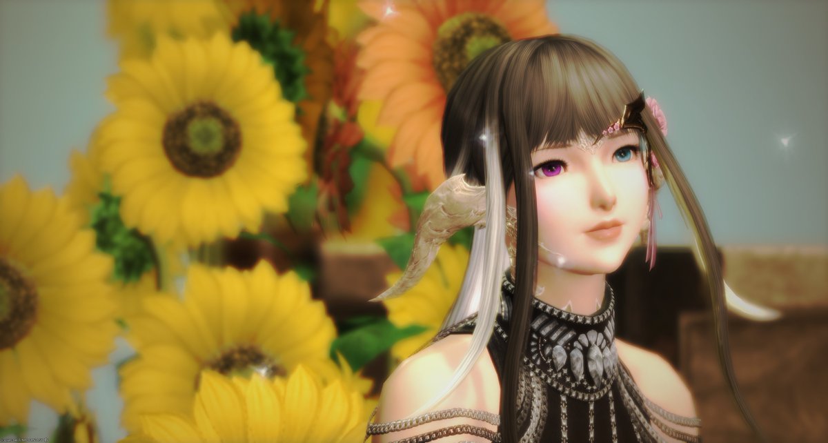 Koyuki_ff14's tweet photo. #しゃとすたじお さんの「Summer vibes」へお邪魔しました。
膝抱っこいいよ、膝抱っこｗ
バイブス上げてこ！ https://t.co/Pqs5IUwB8C