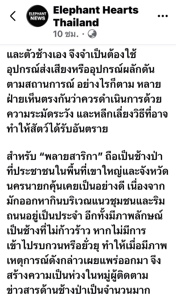 LUStVyKVKN6srFR's tweet photo. 🦣🌳เป็นหว่ง และสงสาร กำลังติดตามเรื่องราว ผลักดันช้างป่าโยนประทัดใส่พลายสาริกา 😰😓
ฟีดข่าวเมื่อคืนเต็มไปหมด 
ขอให้พลายสาริกาปลอดภัยนะ🥲😌

Cr: ภาพ เพจช้างเอย และ เพจ Elephant hearts Thailand
#saveพลายสาริกา
#คนรักช้างป่า🐘🦣🌳 
GolfyTT ☕️ https://t.co/m5WE4zZThB