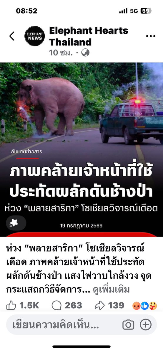 LUStVyKVKN6srFR's tweet photo. 🦣🌳เป็นหว่ง และสงสาร กำลังติดตามเรื่องราว ผลักดันช้างป่าโยนประทัดใส่พลายสาริกา 😰😓
ฟีดข่าวเมื่อคืนเต็มไปหมด 
ขอให้พลายสาริกาปลอดภัยนะ🥲😌

Cr: ภาพ เพจช้างเอย และ เพจ Elephant hearts Thailand
#saveพลายสาริกา
#คนรักช้างป่า🐘🦣🌳 
GolfyTT ☕️ https://t.co/m5WE4zZThB