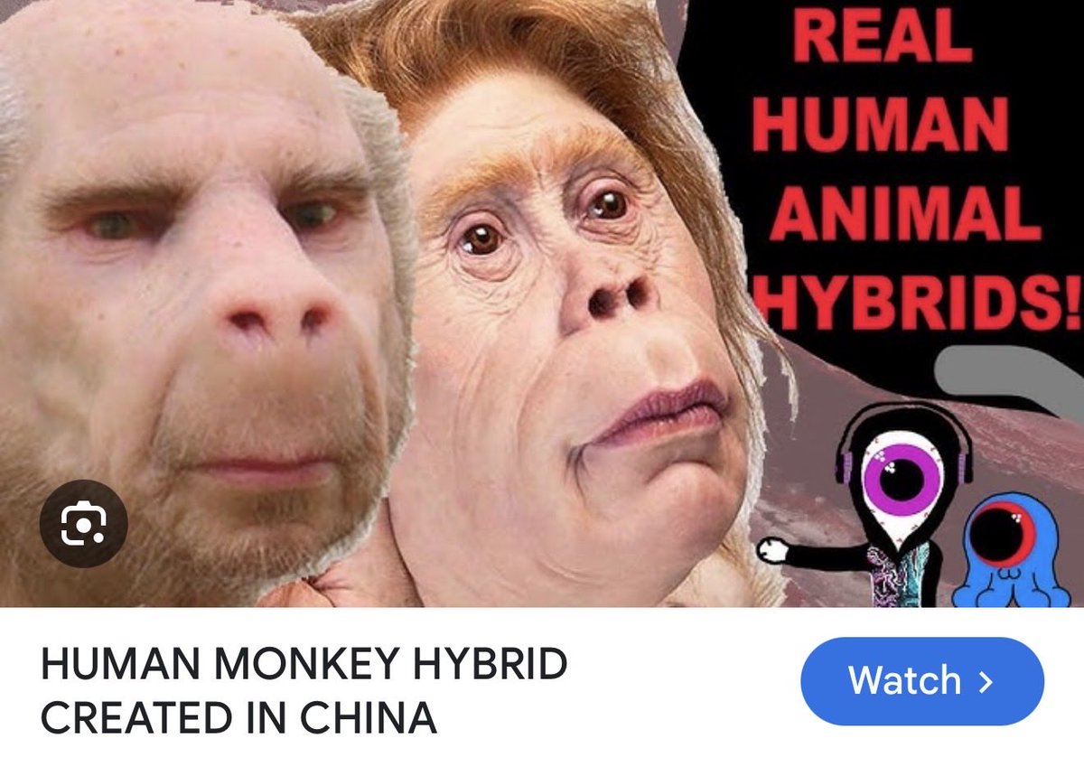 Dreski81's tweet photo. @Johno85t @eepdllc @BufordChap53514 @dijoni Fucking mutant go back through the portal you came or whatever planet Nordic beings like you come from lab babies 👶🏻 🐵 😂 Wonder why you burn 🔥 in 🌞 demon 😈 sun nourishments for blacks like it  plants and trees kills and burns 🥵 you cause your not from here idiot POS https://t.co/3WxMWg3Y3a