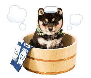 Riwoonhe's tweet photo. ˎ  ་ ﹙🐶﹚ busco m͜͡u͜͡t͜͡i͜͡s.ᐟ.ᐟ

               He/him .𖥔 ݁  16

  #stantwt #kpoptwt #subtwt #moothunt〃・
  soy nuevo, busko mutis para interactuar y amigar
 
౨ৎ: Sk8, haikyuu, weak hero, pjsk (+) 

 ‹𝟹: Txt, illit, bnd, tripleS, loona(+)      

     𖹭 /↺ = mutis https://t.co/1Bchtfb7QC