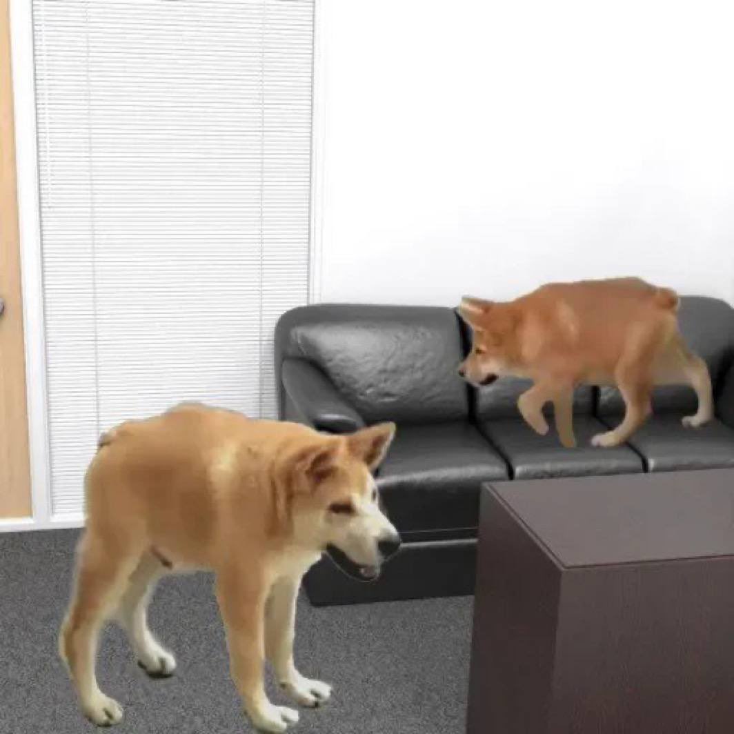 Doggo_CTO's tweet photo. @BillyM2k @Polymarket Will Billy say hi back? 🐕 https://t.co/HTyVdjakQx